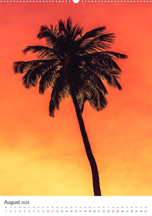 Palm Springs - Immer der Sonne nach. (CALVENDO Wandkalender 2024)