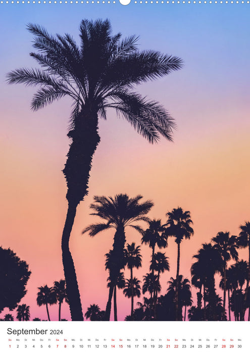 Palm Springs - Immer der Sonne nach. (CALVENDO Premium Wandkalender 2024)