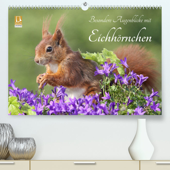 Besondere Augenblicke mit Eichhörnchen (CALVENDO Premium Wandkalender 2024)