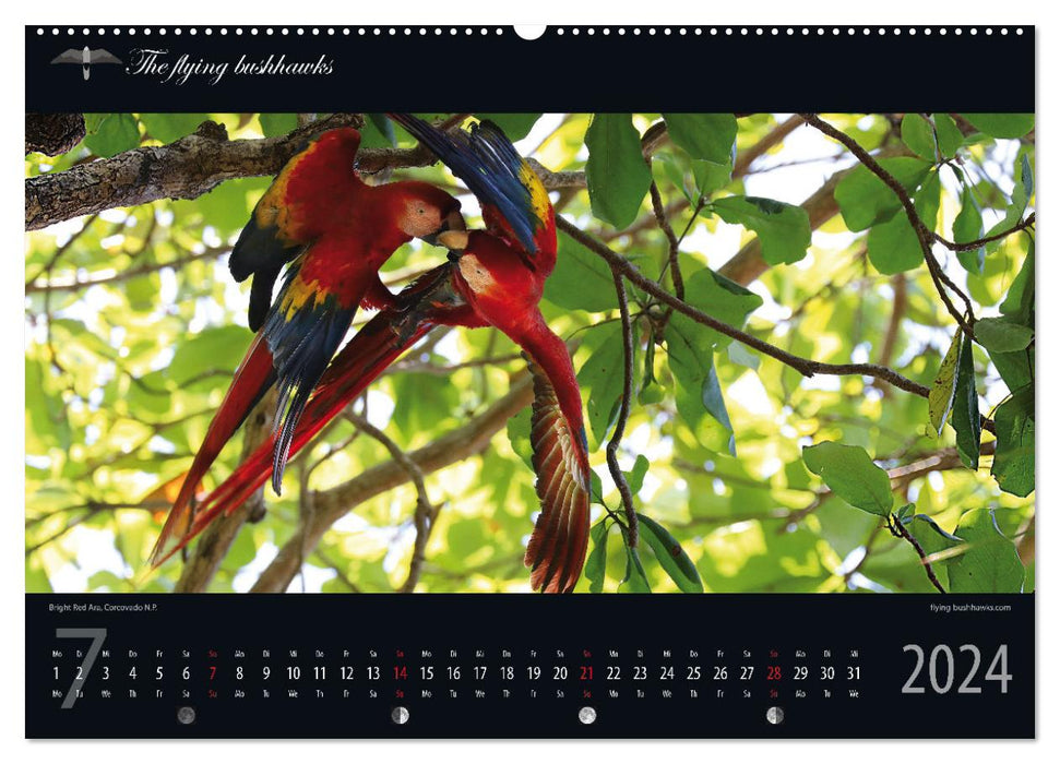 Costa Rica Blickwinkel 2024 (CALVENDO Premium Wandkalender 2024)