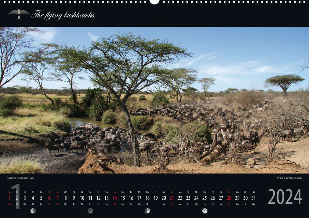 Tansania Blickwinkel 2024 (CALVENDO Premium Wandkalender 2024)