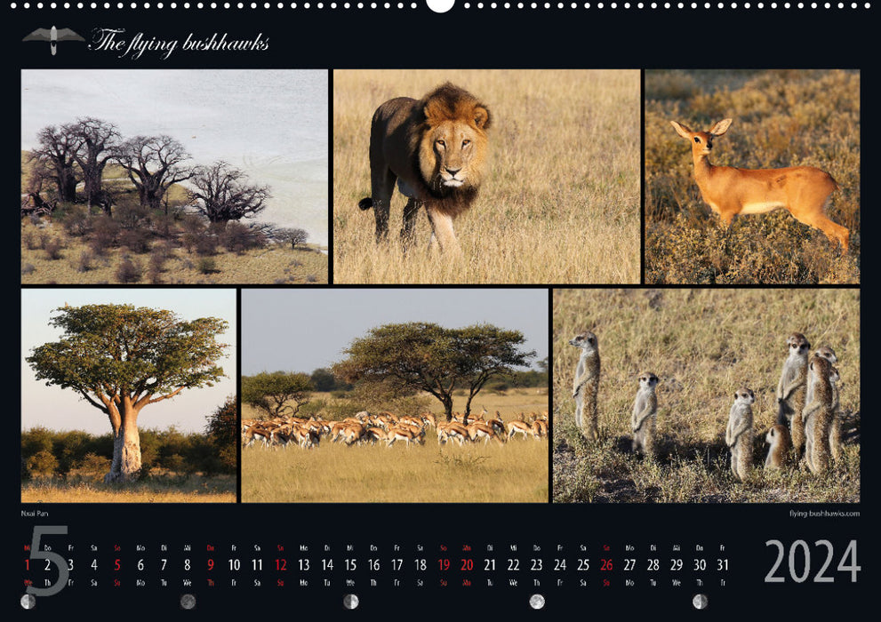 Botswana Blickwinkel 2024 (CALVENDO Premium Wandkalender 2024)