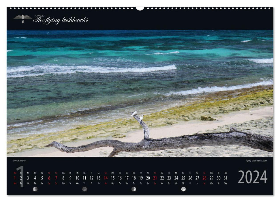 Seychellen Blickwinkel 2024 (CALVENDO Wandkalender 2024)