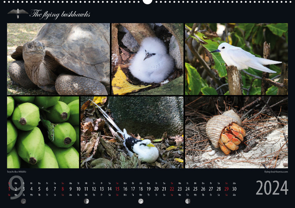 Seychellen Blickwinkel 2024 (CALVENDO Premium Wandkalender 2024)