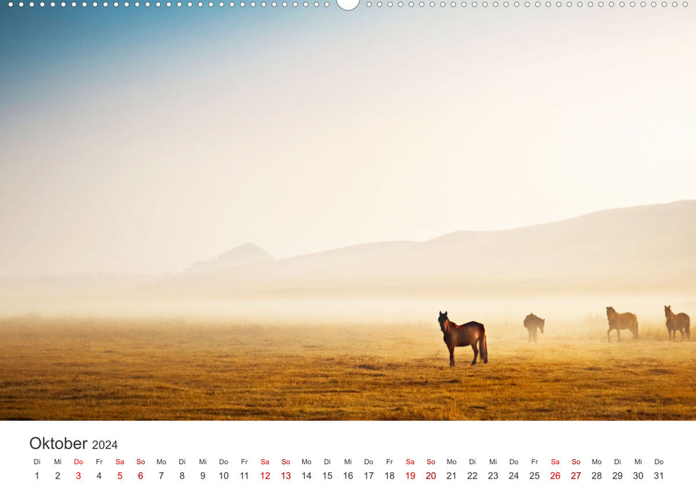 Mongolei - Endlose Steppe und wilde Natur. (CALVENDO Wandkalender 2024)