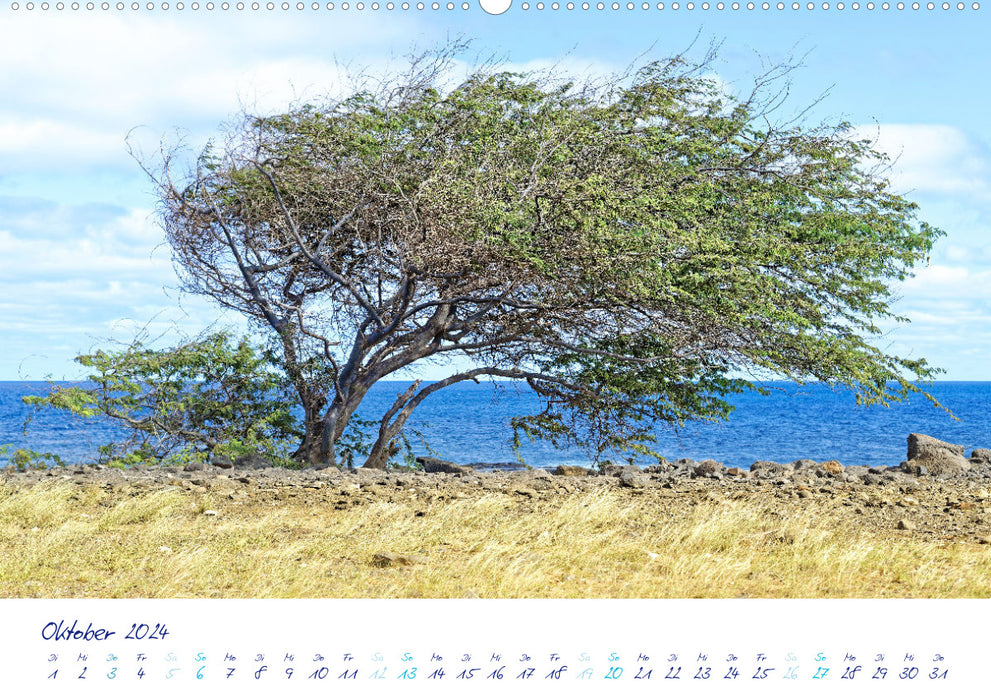 Cap Vert - Îles d'Amour (Calendrier mural CALVENDO 2024) 