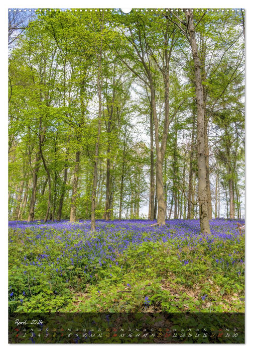 Romantic Hückelhoven (CALVENDO Premium Wall Calendar 2024) 