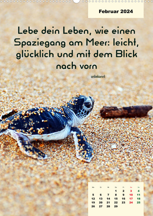 Verrückt nach MEER - Wellen - Strand - Zitate (CALVENDO Wandkalender 2024)