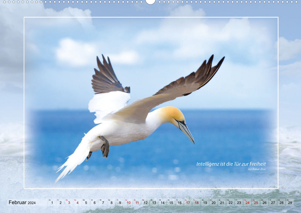 Insel Gedanken (CALVENDO Premium Wandkalender 2024)