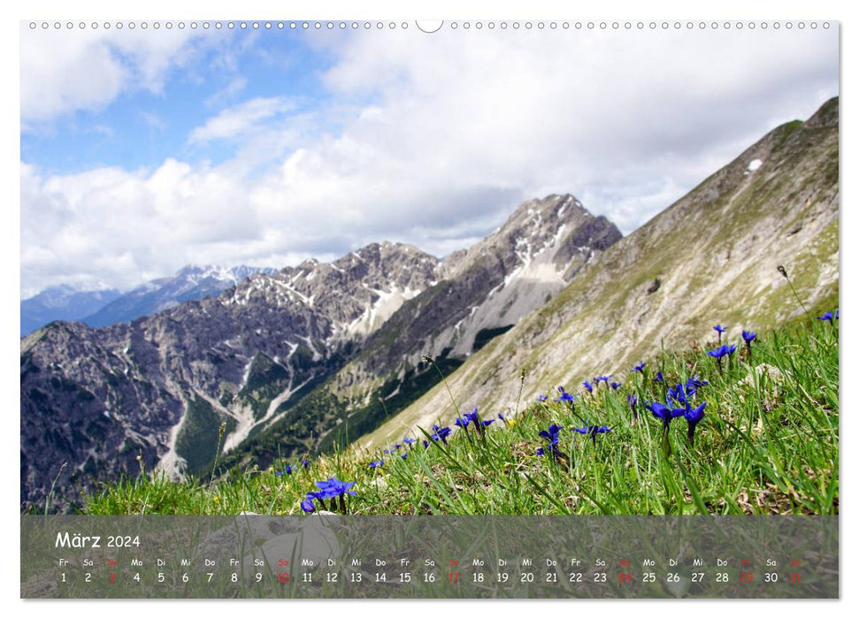 Ammergauer Alpen (CALVENDO Premium Wandkalender 2024)