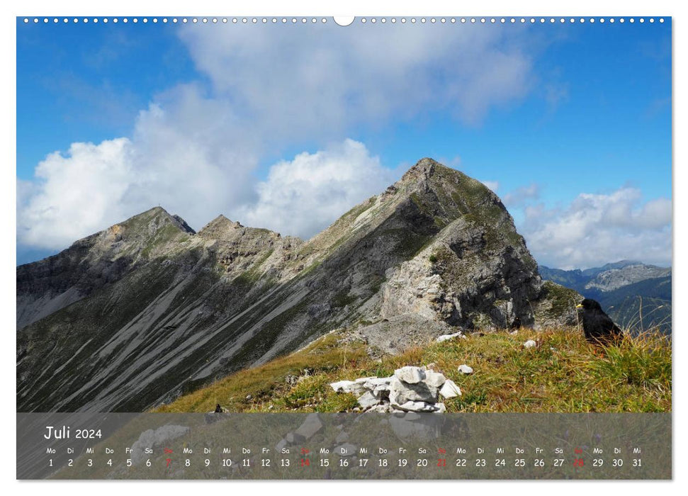 Ammergauer Alpen (CALVENDO Premium Wandkalender 2024)