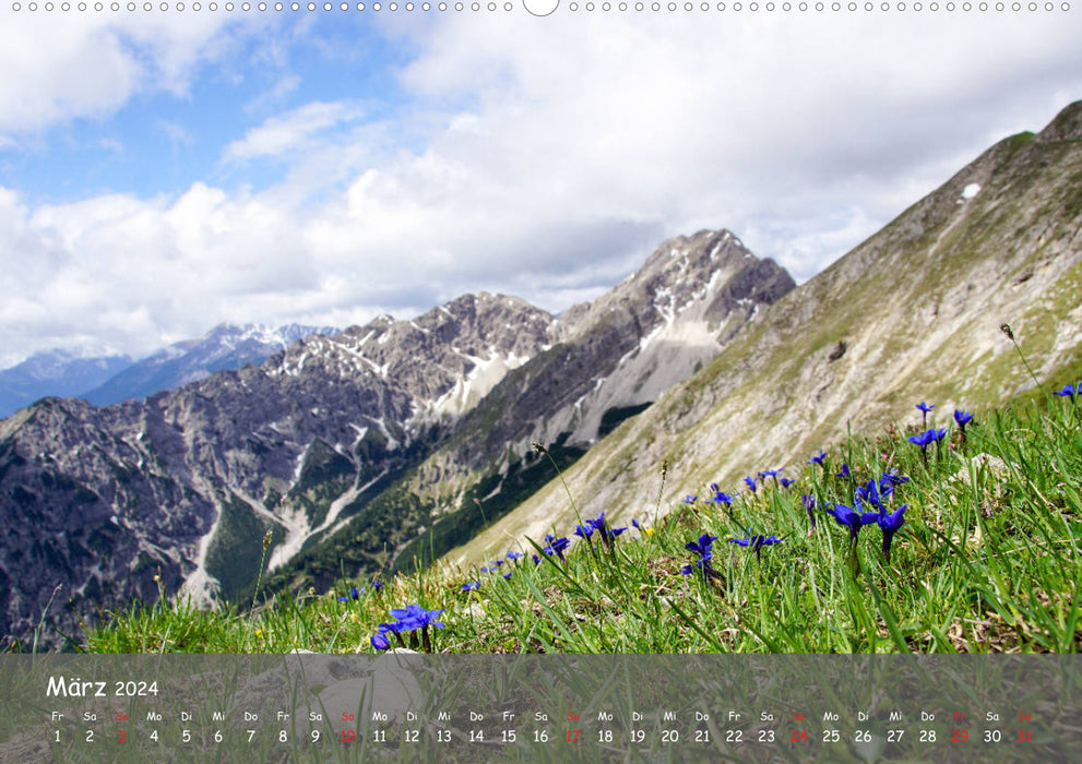 Ammergauer Alpen (CALVENDO Wandkalender 2024)