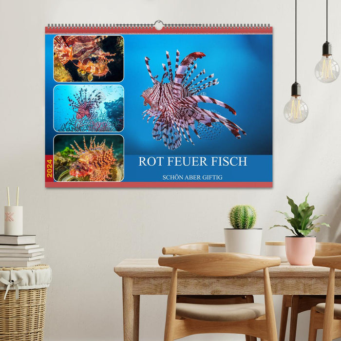 Red Fire Fish (CALVENDO Wall Calendar 2024) 