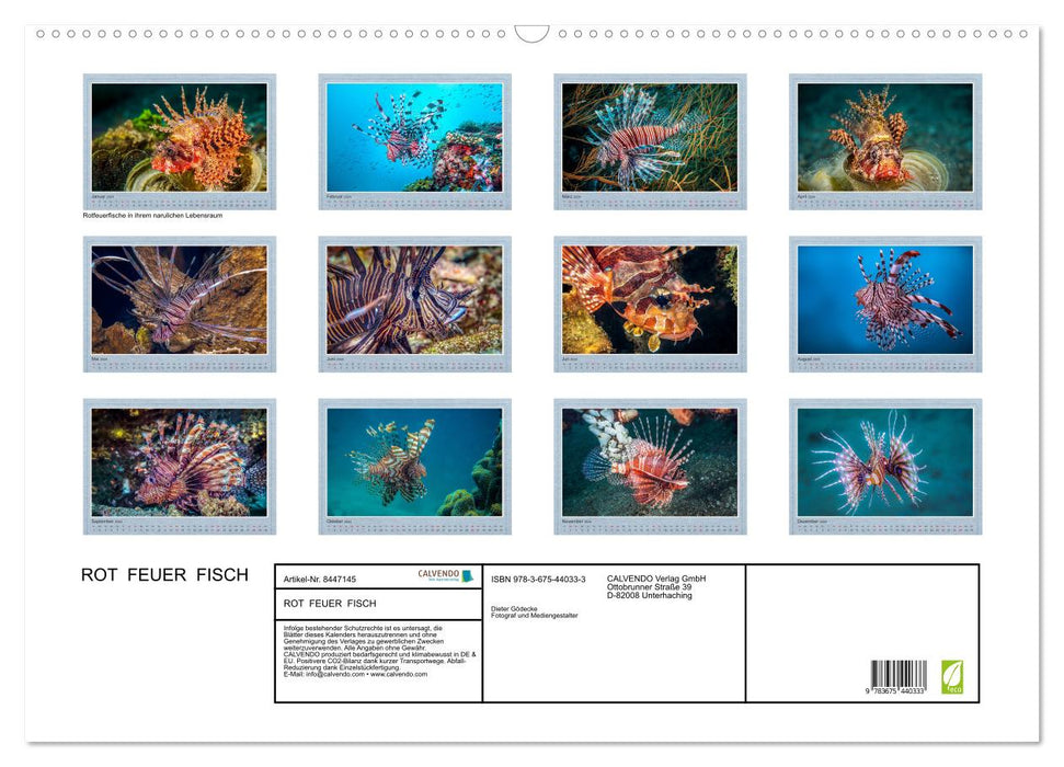 Red Fire Fish (CALVENDO Wall Calendar 2024) 