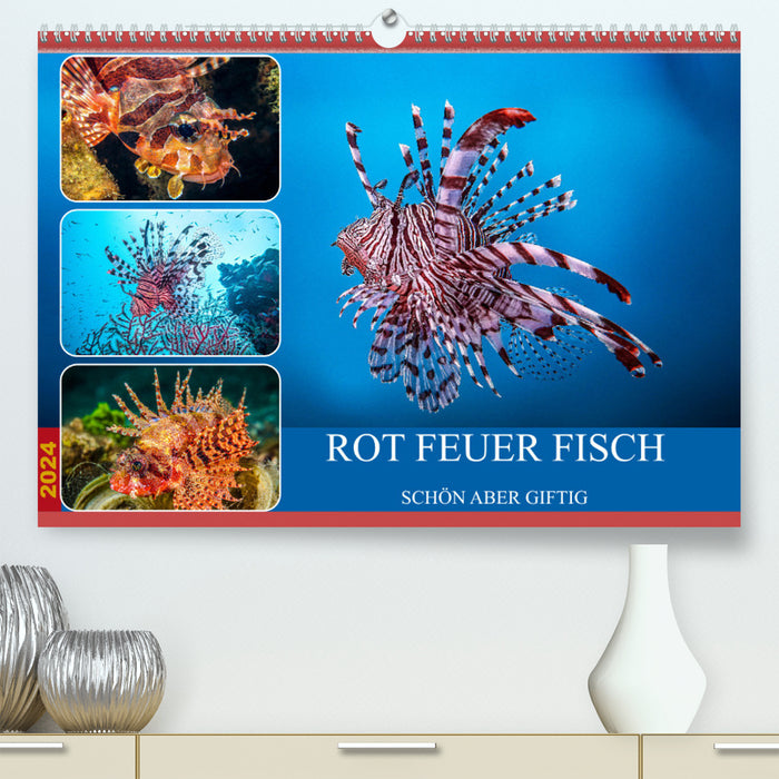 Rot Feuer Fisch (CALVENDO Premium Wandkalender 2024)