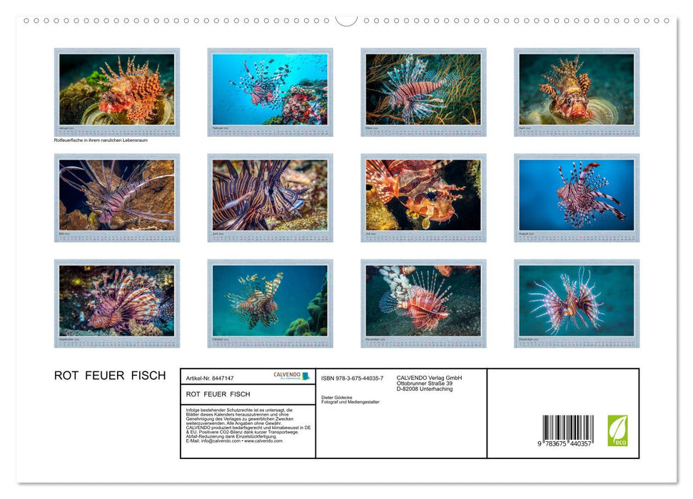 Red Fire Fish (CALVENDO Premium Wall Calendar 2024) 