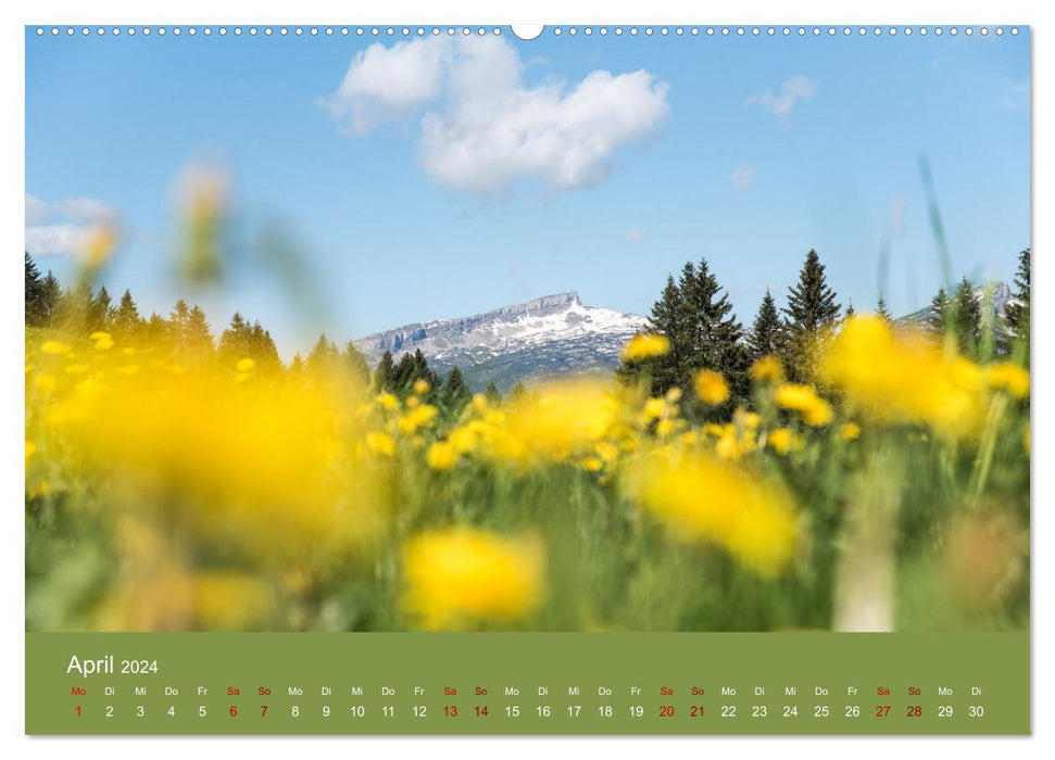 Homesick Allgäu 2024 (CALVENDO Premium Wall Calendar 2024) 