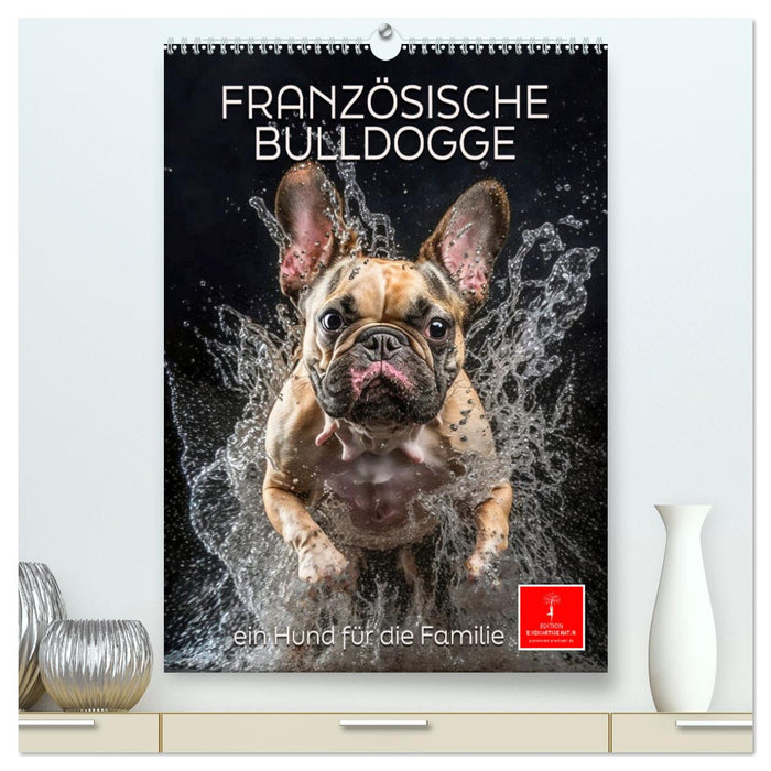 Französische Bulldogge - ein Hund für die Familie (CALVENDO Premium Wandkalender 2024)