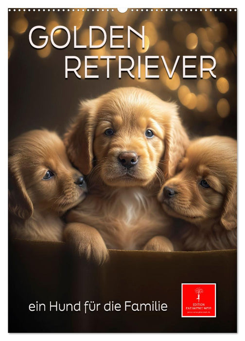 Golden Retriever - a dog for the family (CALVENDO wall calendar 2024) 