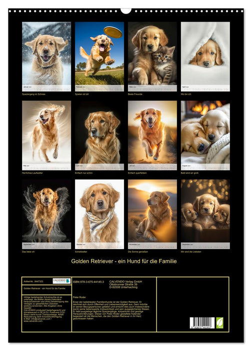 Golden Retriever - a dog for the family (CALVENDO wall calendar 2024) 