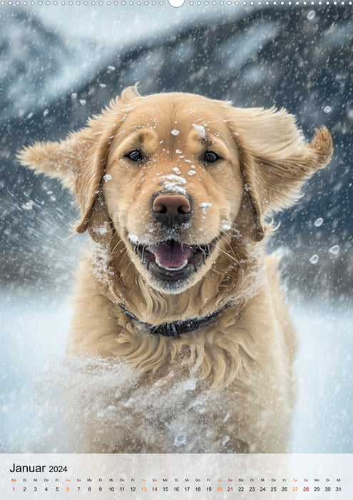 Golden Retriever - ein Hund für die Familie (CALVENDO Premium Wandkalender 2024)