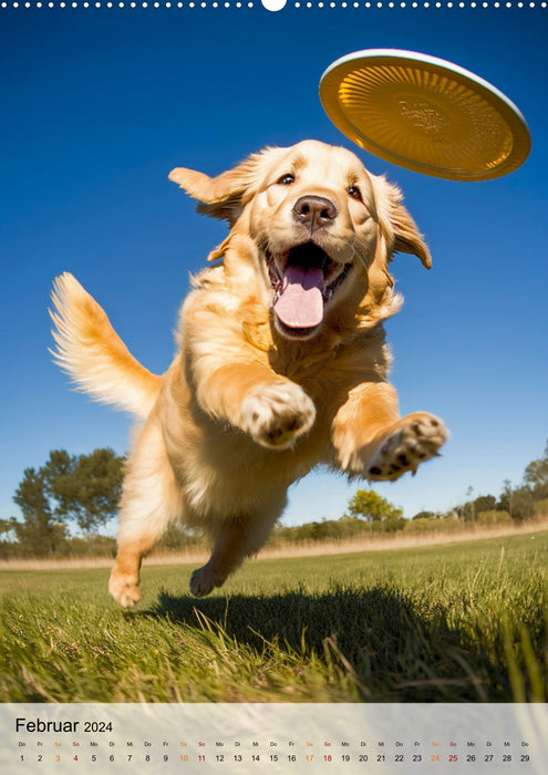 Golden Retriever - un chien pour la famille (Calendrier mural CALVENDO Premium 2024) 