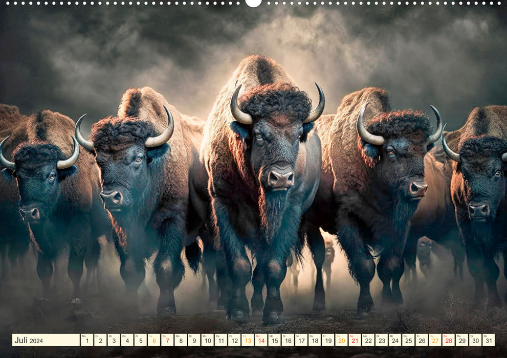 Amerikanischer Bison (CALVENDO Premium Wandkalender 2024)