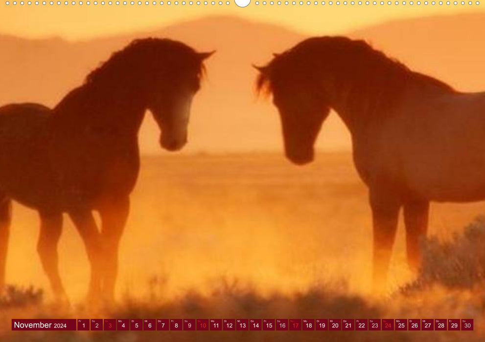 Chevaux sauvages • Mustangs aux USA (calendrier mural CALVENDO 2024) 