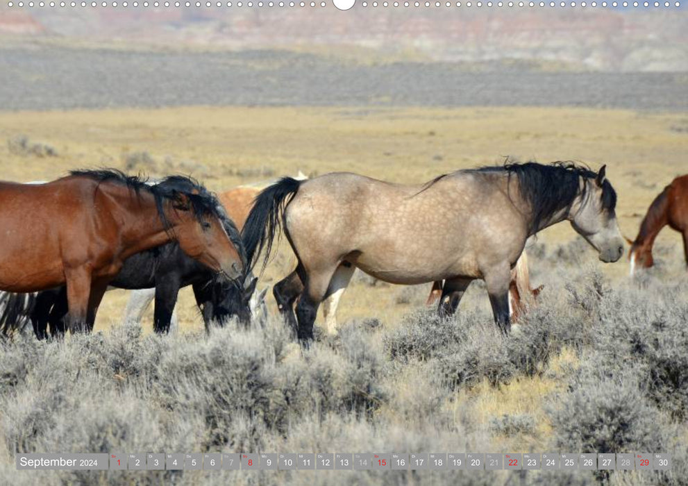 Wilde Pferde • Mustangs in USA (CALVENDO Wandkalender 2024)