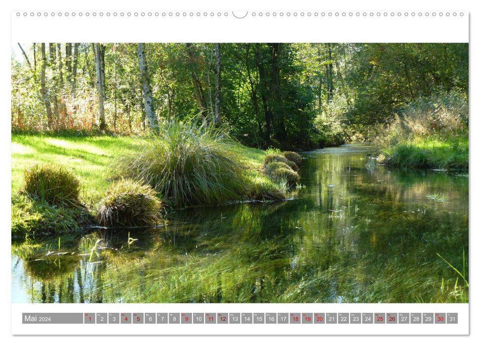 Wanderbares Ländle - Impressions from Vorarlberg (CALVENDO Premium Wall Calendar 2024) 