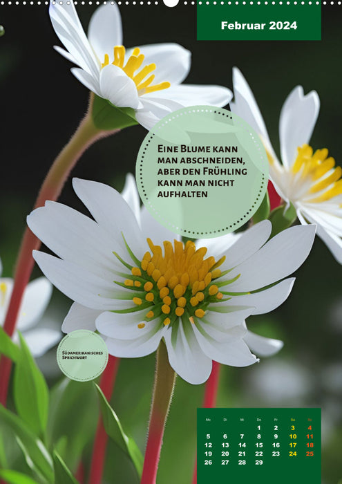 Verrückt nach BLUMEN Artwork - Farben - Zitate (CALVENDO Wandkalender 2024)