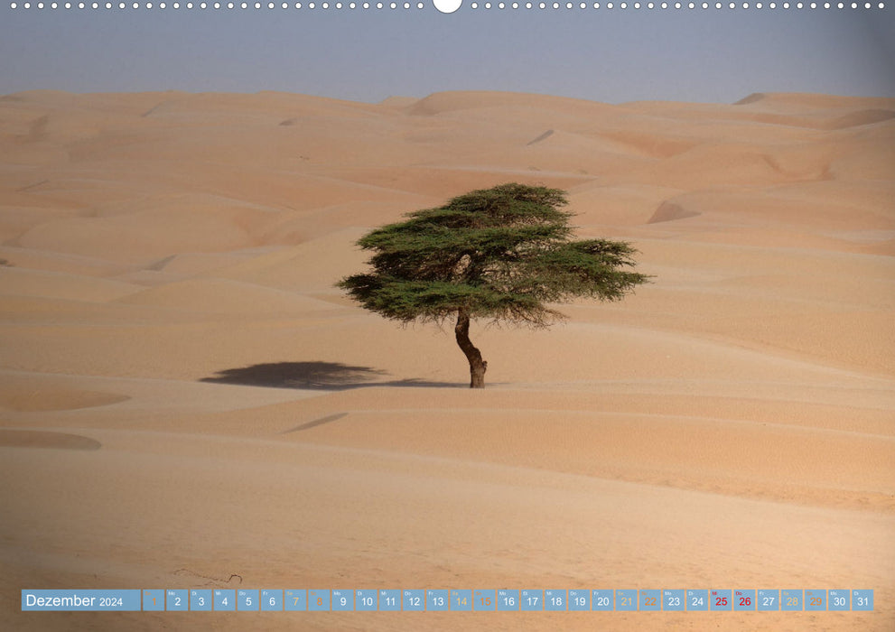 Sehnsucht Sahara (CALVENDO Wandkalender 2024)