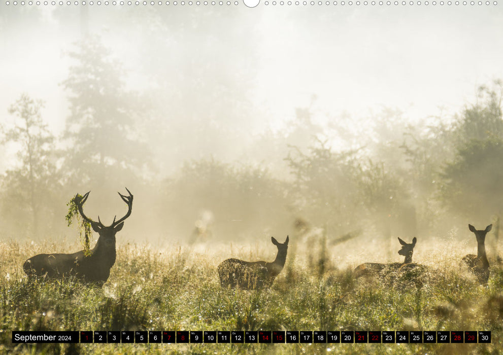 Natur und Tierparadies (CALVENDO Premium Wandkalender 2024)