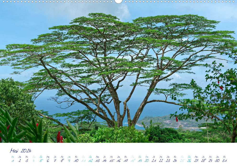 Fabuleuses Seychelles – Idylle dans l'océan Indien (Calvendo Premium Wall Calendar 2024) 