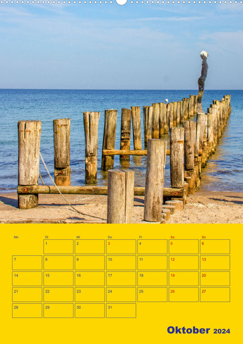 Sehnsucht nach Meer - Ostsee (CALVENDO Wandkalender 2024)