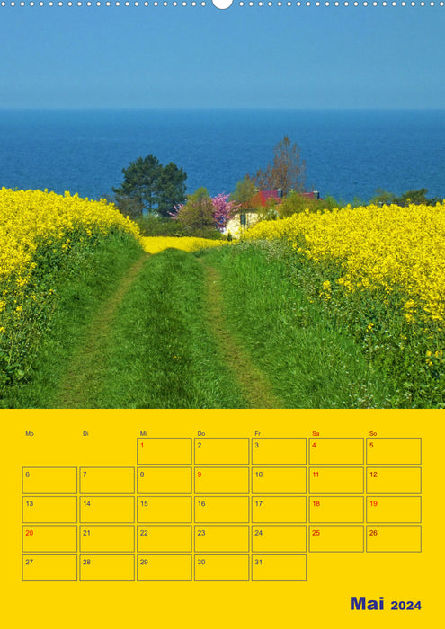 Sehnsucht nach Meer - Ostsee (CALVENDO Wandkalender 2024)