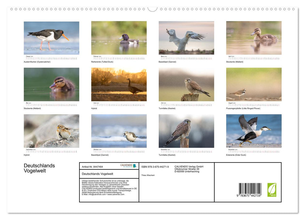 Deutschlands Vogelwelt (CALVENDO Premium Wandkalender 2024)