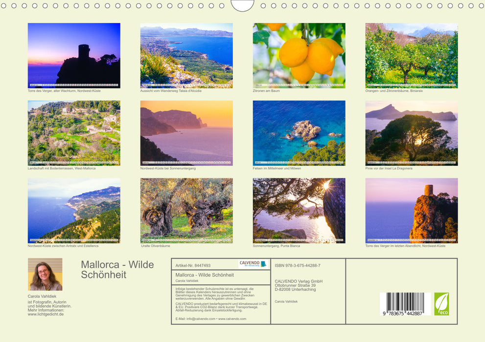 Mallorca - Wilde Schönheit im Mittelmeer (CALVENDO Wandkalender 2024)