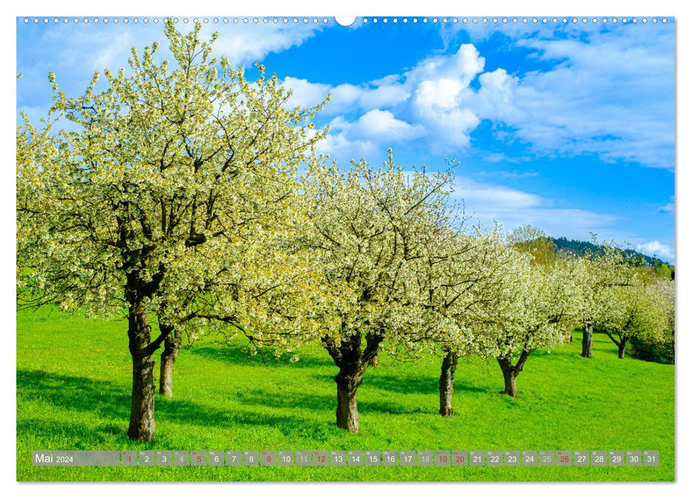 A look at Witzenhausen (CALVENDO Premium Wall Calendar 2024) 