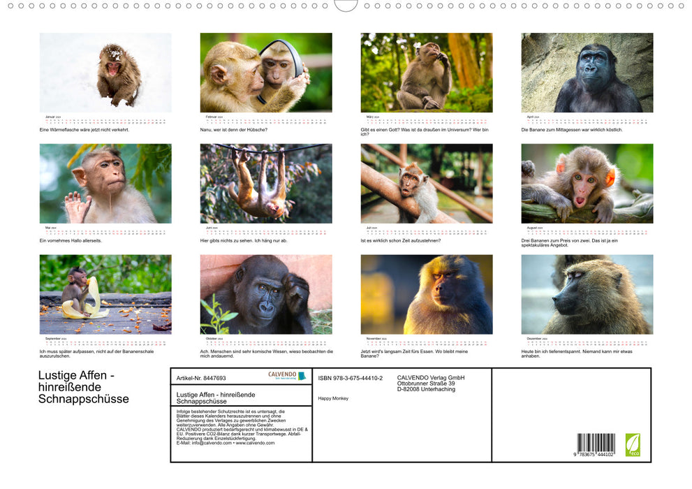 Lustige Affen - hinreißende Schnappschüsse (CALVENDO Wandkalender 2024)