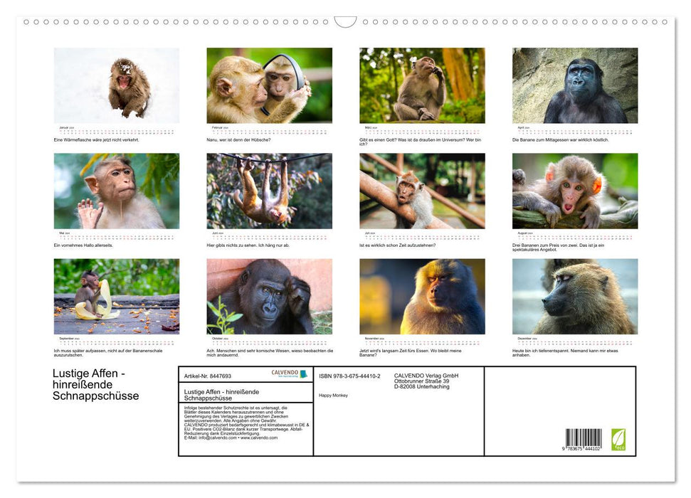 Singes rigolos - instantanés adorables (Calendrier mural CALVENDO 2024) 