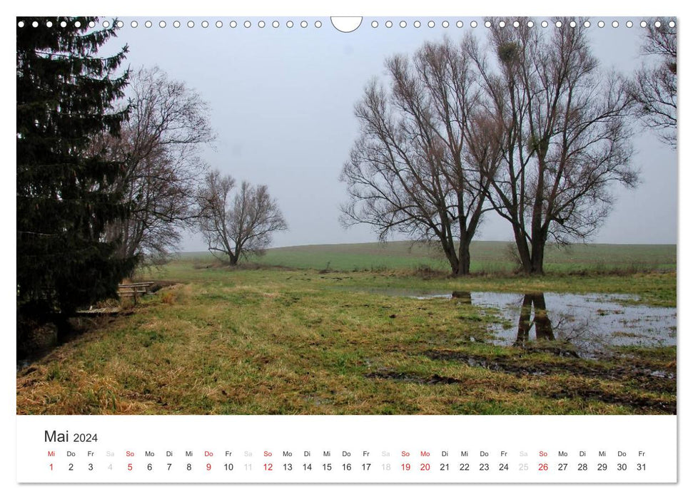 Die Uckermark im Auge der Kamera (CALVENDO Wandkalender 2024)