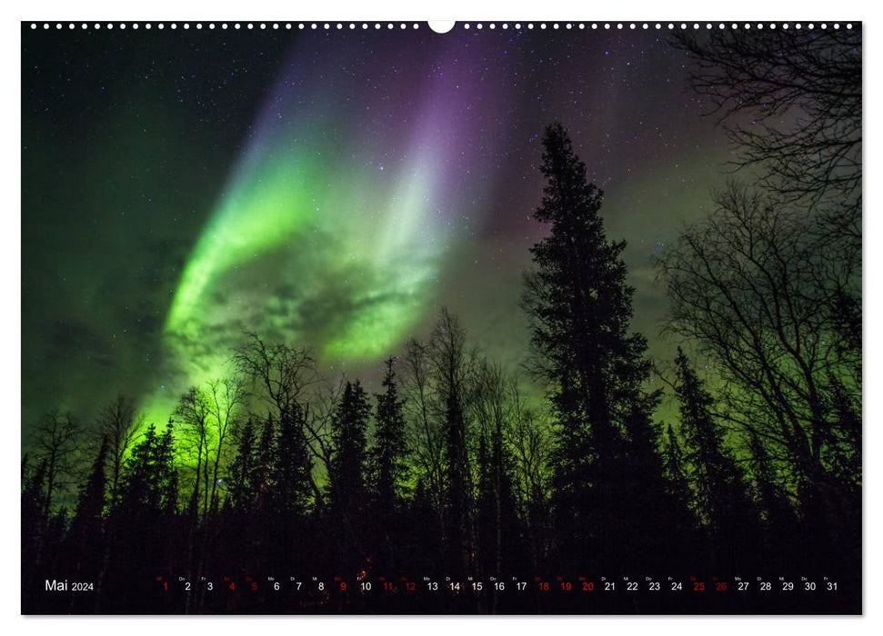 The fascination of the northern lights (CALVENDO wall calendar 2024) 