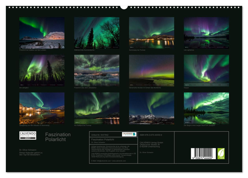 Fascination avec les aurores boréales (Calvendo Premium Wall Calendar 2024) 