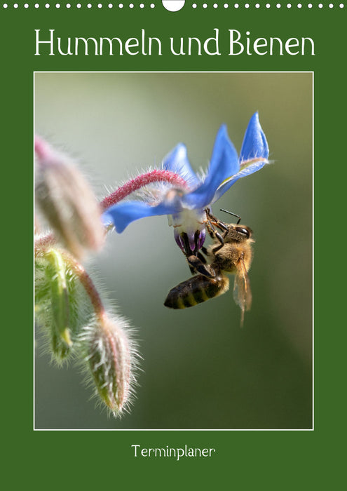Hummeln und Bienen Terminplaner (CALVENDO Wandkalender 2024)