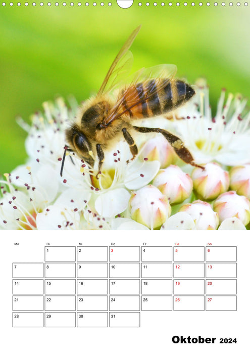 Hummeln und Bienen Terminplaner (CALVENDO Wandkalender 2024)