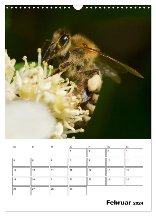 Hummeln und Bienen Terminplaner (CALVENDO Wandkalender 2024)