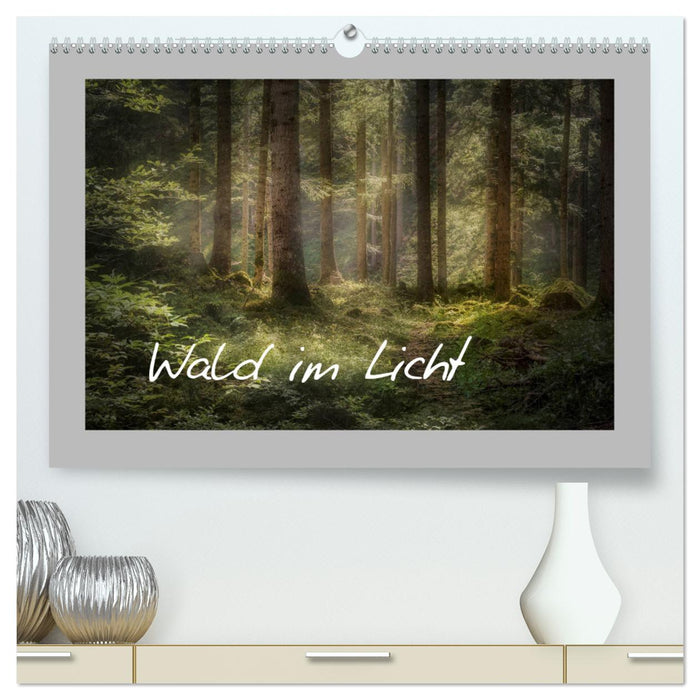 Wald im Licht (CALVENDO Premium Wandkalender 2024)