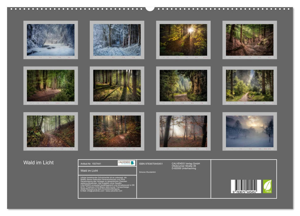 Wald im Licht (CALVENDO Premium Wandkalender 2024)