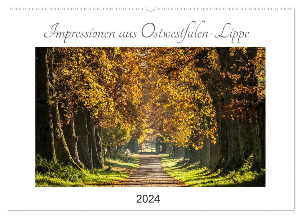 Impressionen aus Ostwestfalen-Lippe (CALVENDO Wandkalender 2024)